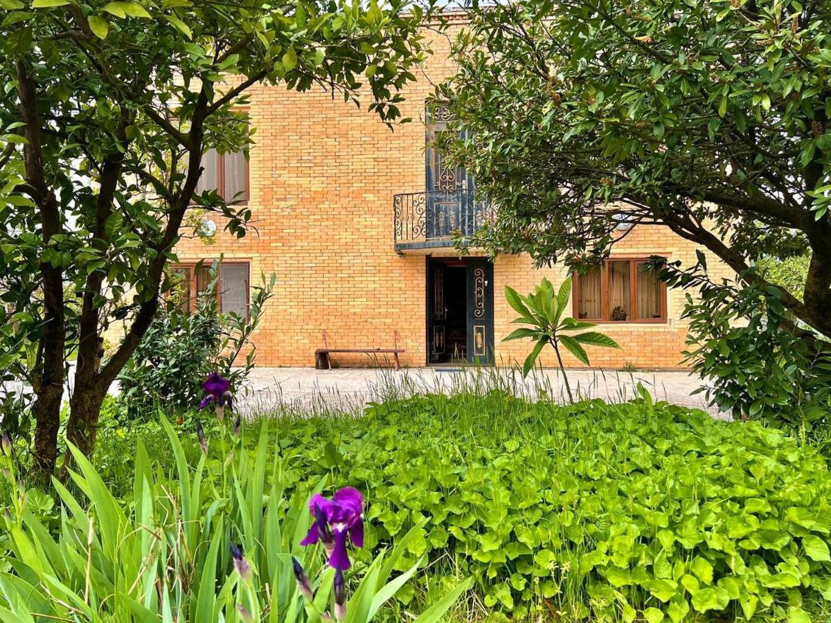 Hotel Gio Samtredia Ngoại thất bức ảnh